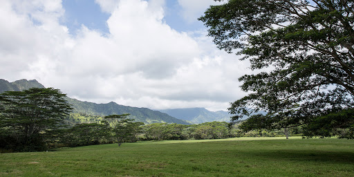 Plik:Nublar East.jpg