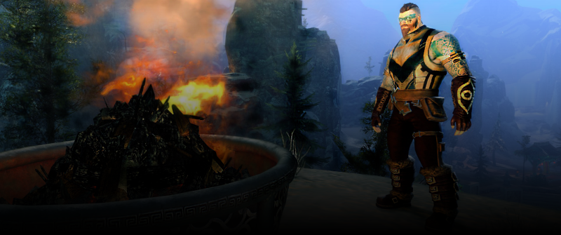 Plik:Harald baner2.png