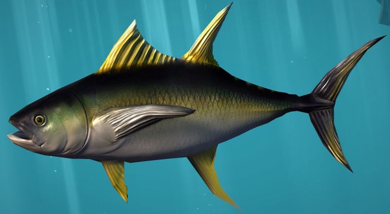 Plik:Tuna.jpg