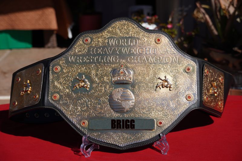 Plik:Brigg Pas.jpg