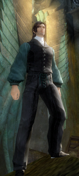 Plik:Airra na tle bramy Ebonhawke.png