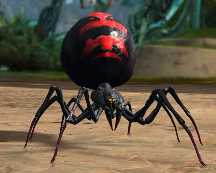 Plik:Black Widow Spider.jpg