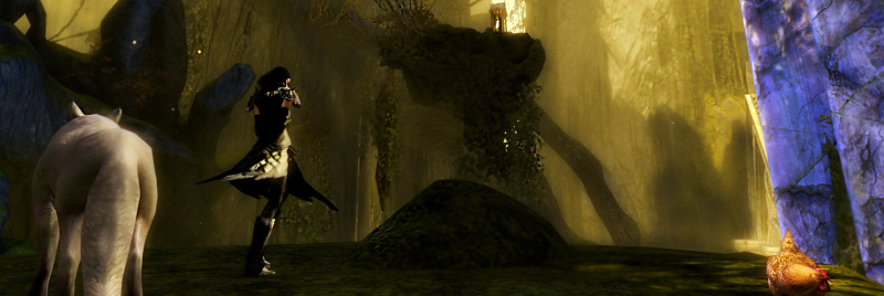 Plik:BANER2IZ.png