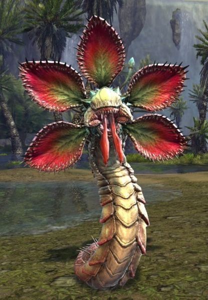 Plik:Fanged Iboga.jpg
