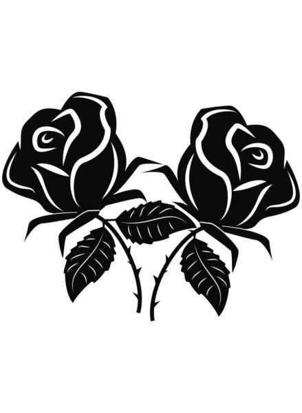 Plik:Cann roses.jpg